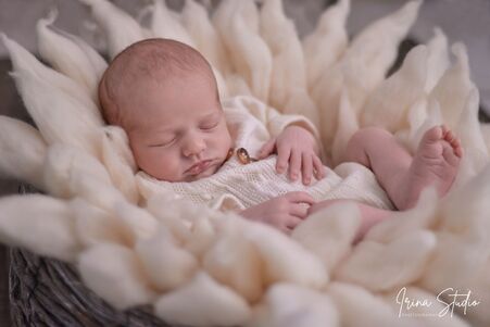 lheure du dodo dans le cocon douillet photographe houdan