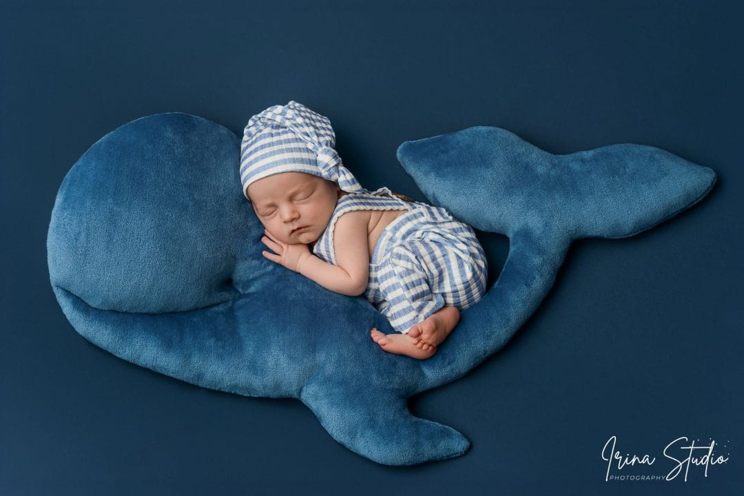 photographe nouveau ne premiers pas dreux